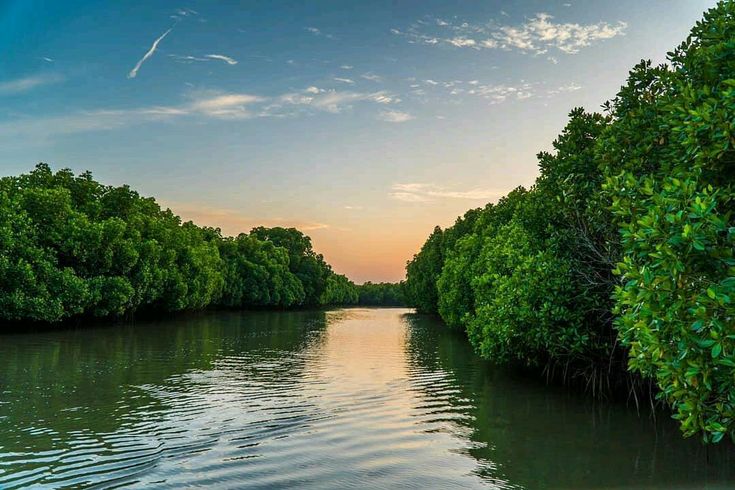Madu-Ganga-Boat-Safari-Balapitiya