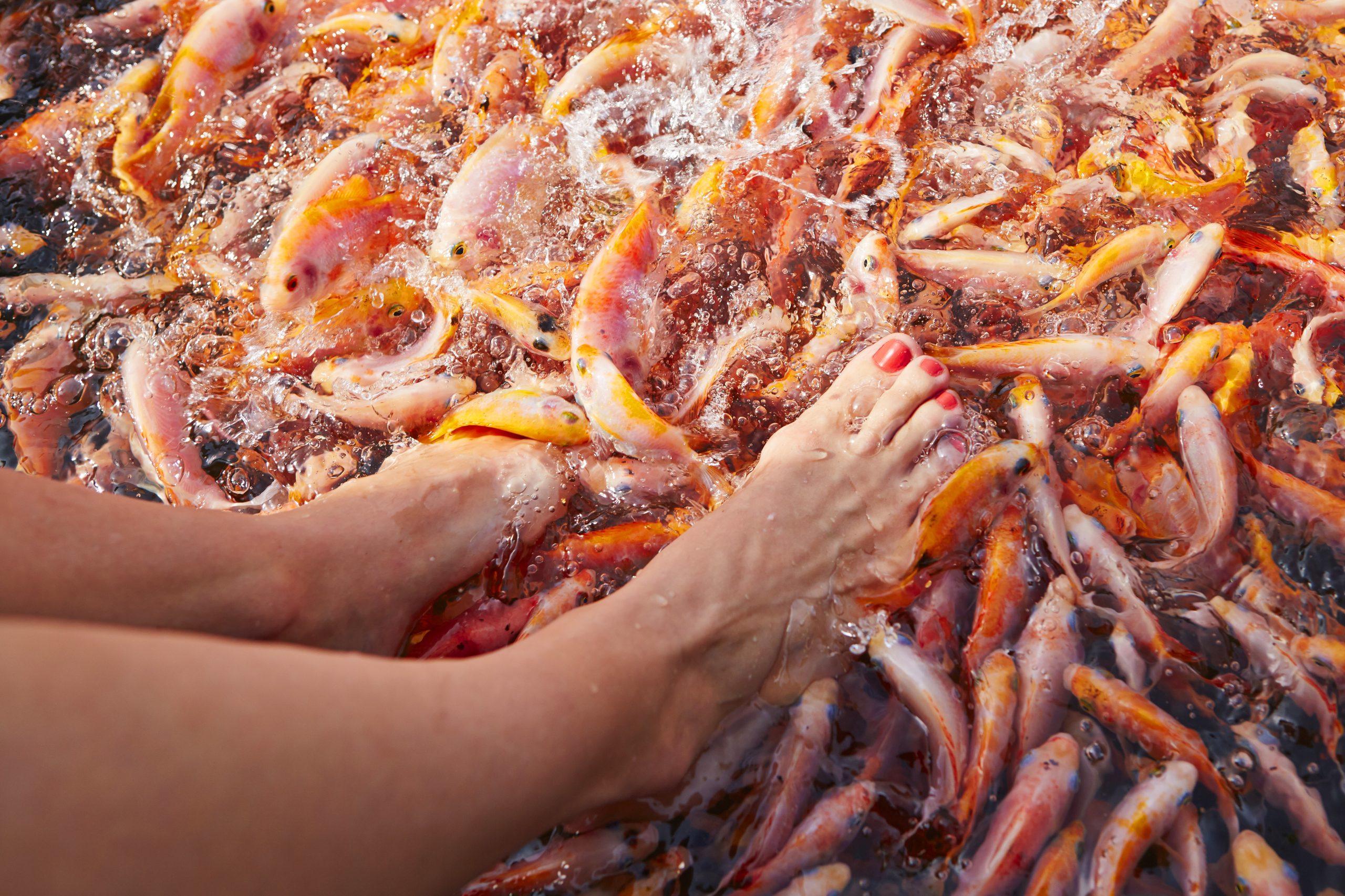 Madu-River-Fish-Therapy-scaled