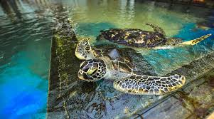images (6)