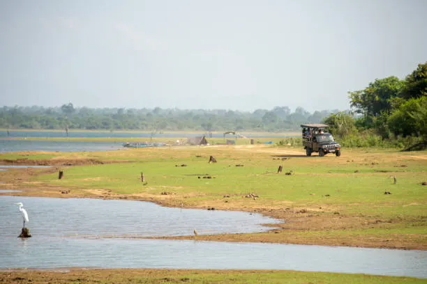 safari-car-in-yala-national-park-in-southern-sri-lanka