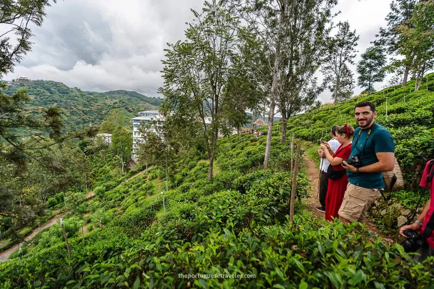 halpewatte-tea-factory-tour-halpe-ella-sri-lanka-78